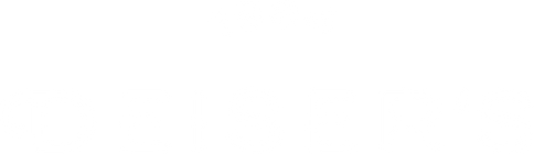 Deiser's Logo ohne Claim mit weißer Schrift.