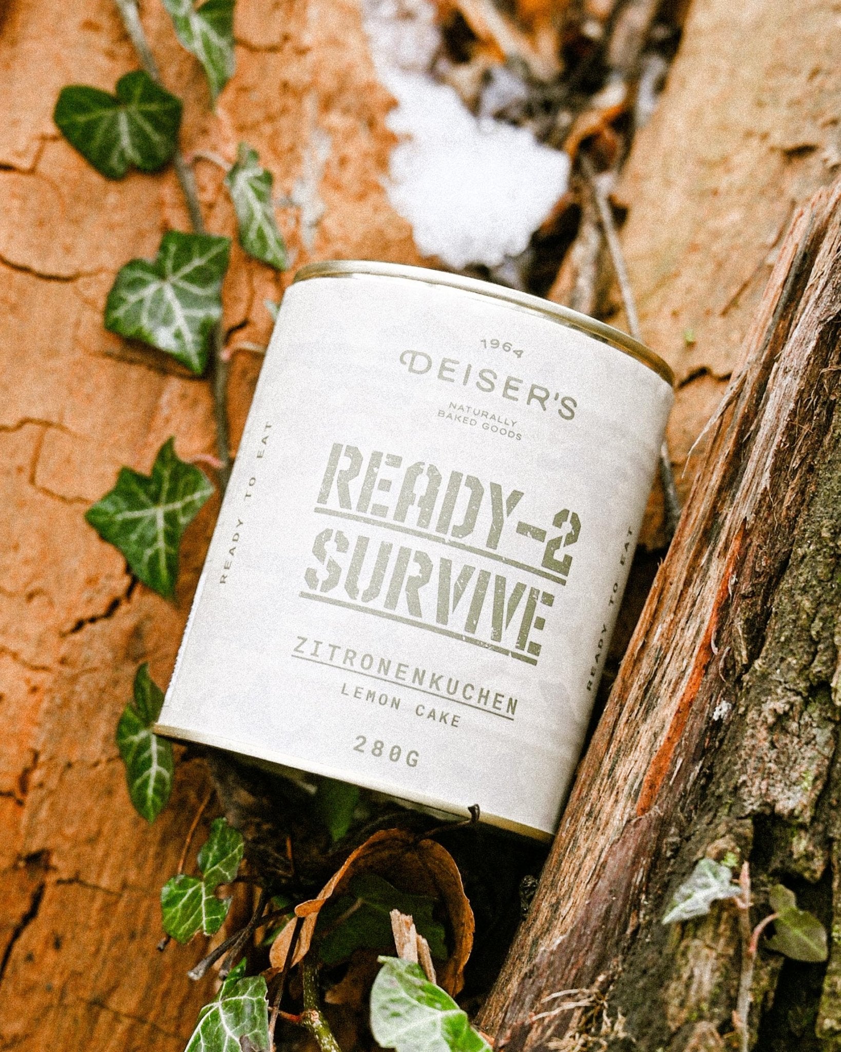 R2S - Zitronenkuchen, 280g (6 Stück) von Bäckerei Deiser – haltbares Dosenbrot