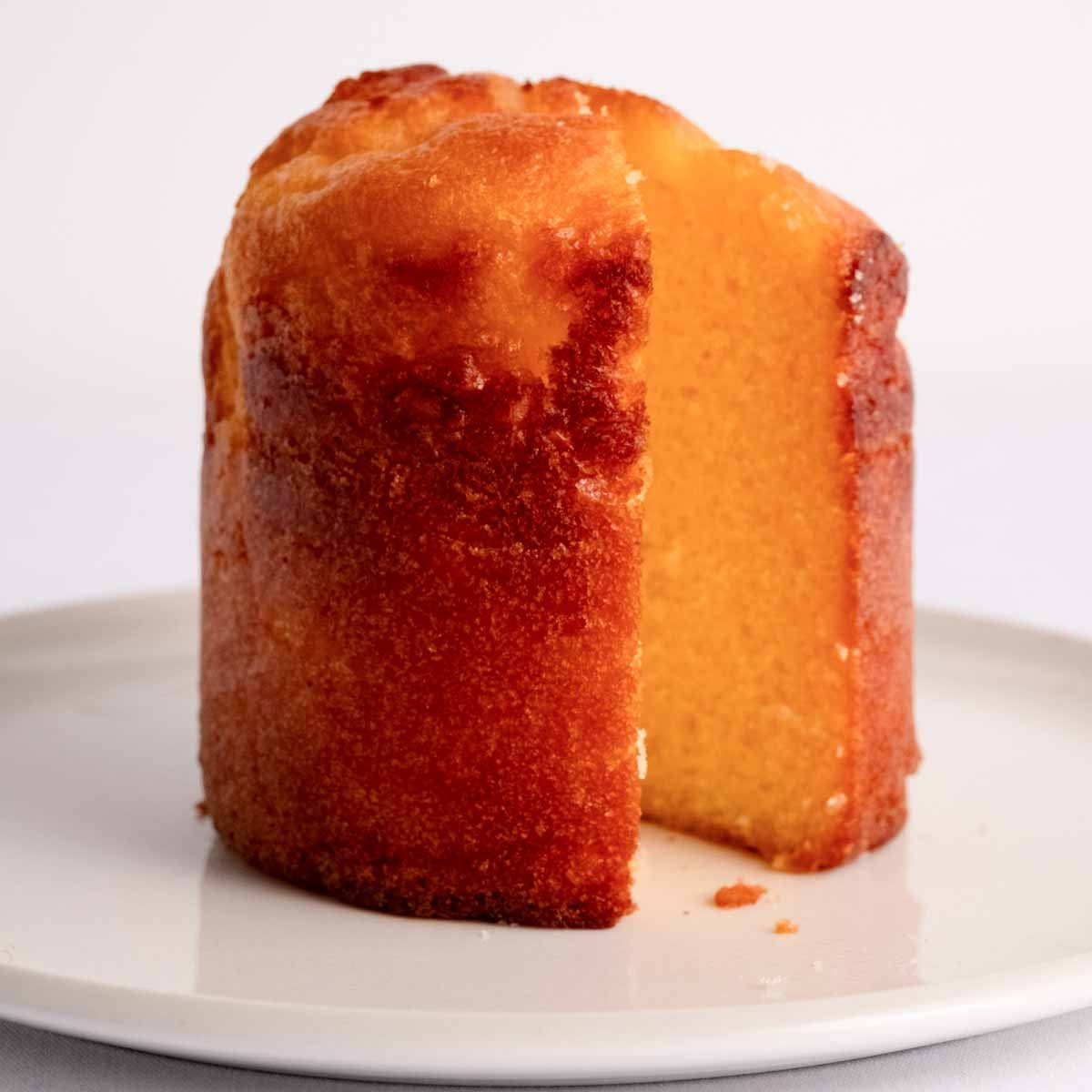 Ready - 2 - Survive Zitronenkuchen (6 Stück) von Bäckerei Deiser – haltbares Dosenbrot